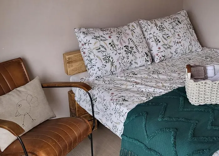 Oddih Pr Toniqu