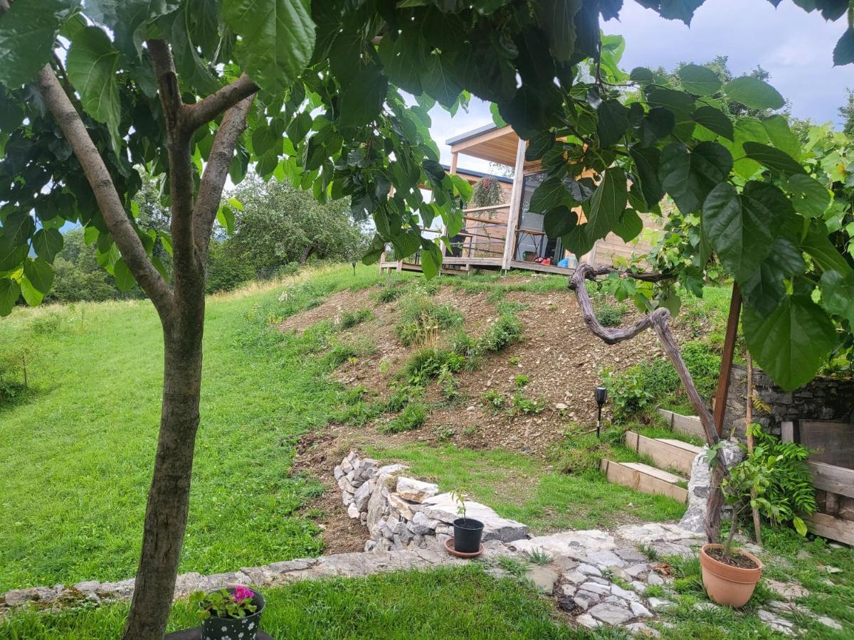 Luxury tent Oddih Pr Toniqu